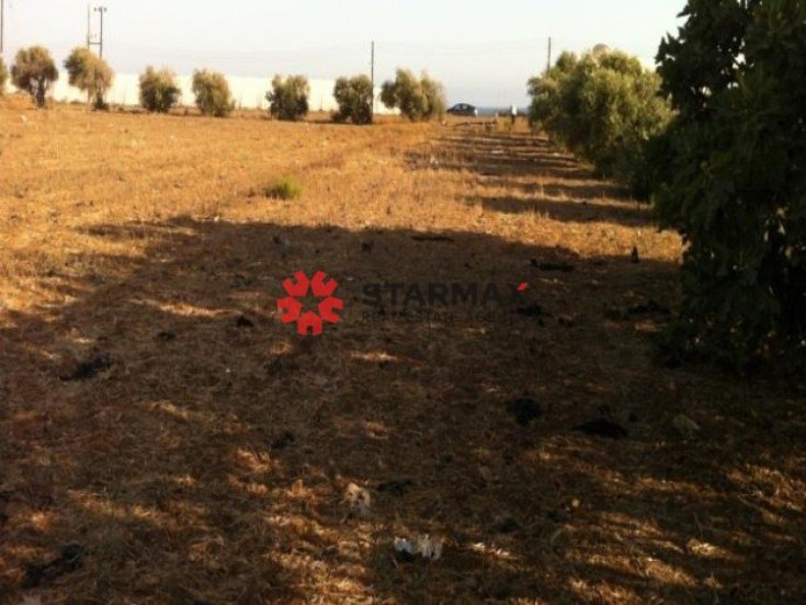 Land, For Sale, Larnaca, Maroni